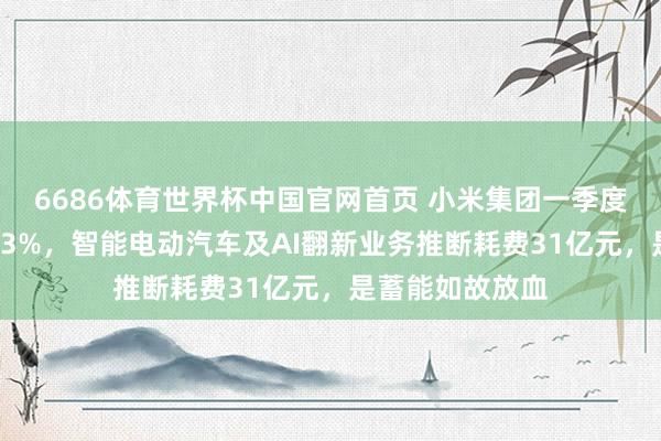 6686体育世界杯中国官网首页 小米集团一季度净利润同比降43%，智能电动汽车及AI翻新业务推断耗费31亿元，是蓄能如故放血