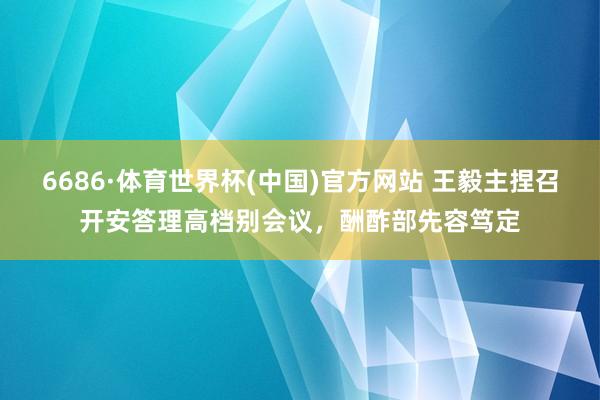 6686·体育世界杯(中国)官方网站 王毅主捏召开安答理高档别会议，酬酢部先容笃定