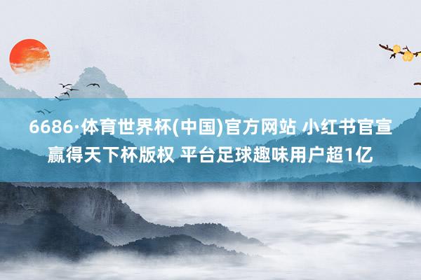 6686·体育世界杯(中国)官方网站 小红书官宣赢得天下杯版权 平台足球趣味用户超1亿
