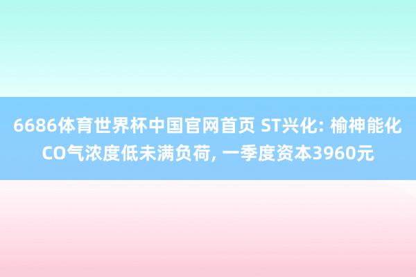 6686体育世界杯中国官网首页 ST兴化: 榆神能化CO气浓度低未满负荷, 一季度资本3960元