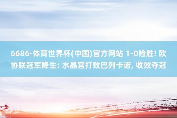6686·体育世界杯(中国)官方网站 1-0险胜! 欧协联冠军降生: 水晶宫打败巴列卡诺, 收效夺冠
