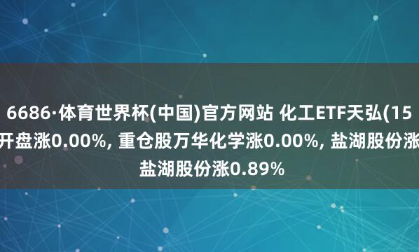 6686·体育世界杯(中国)官方网站 化工ETF天弘(159133)开盘涨0.00%, 重仓股万华化学涨0.00%, 盐湖股份涨0.89%
