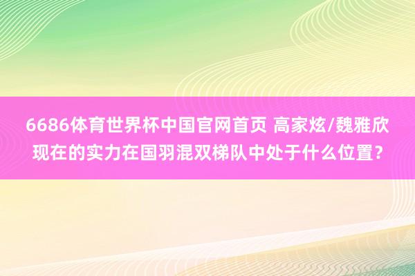 6686体育世界杯中国官网首页 高家炫/魏雅欣现在的实力在国羽混双梯队中处于什么位置？