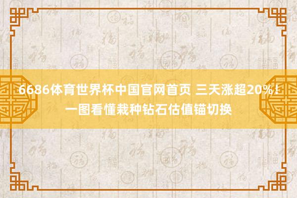 6686体育世界杯中国官网首页 三天涨超20%！一图看懂栽种钻石估值锚切换