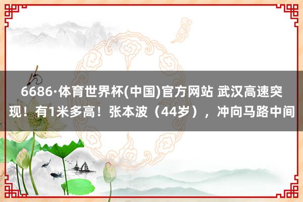 6686·体育世界杯(中国)官方网站 武汉高速突现！有1米多