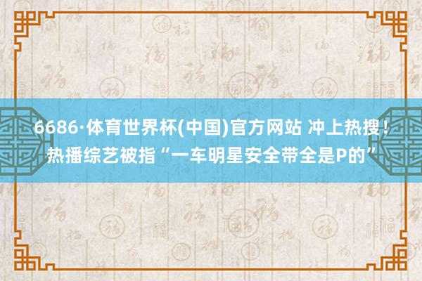 6686·体育世界杯(中国)官方网站 冲上热搜！热播综艺被指“一车明星安全带全是P的”